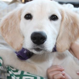 Meet your Posher, Casey